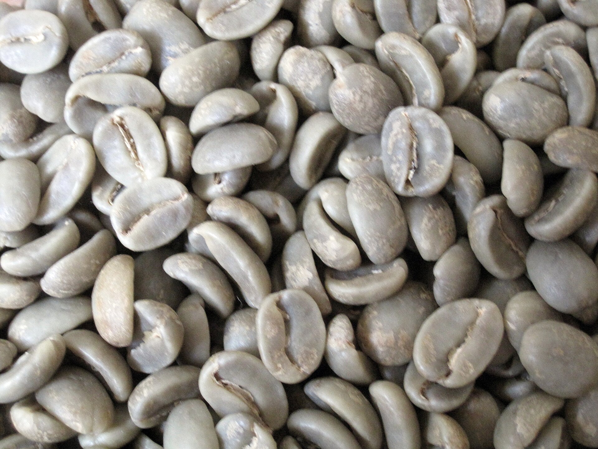 Boabe de cafea verde, neprăjite, în prim-plan